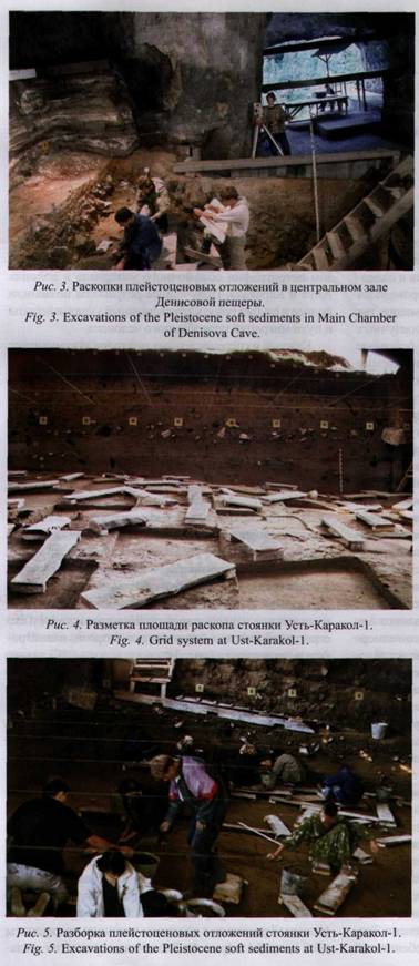 http://macroevolution.narod.ru/deniska01.jpg