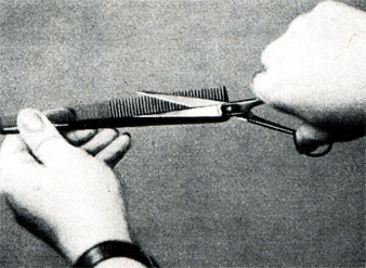 Рис. 135. Положение гребня и  ножниц при стрижке