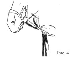 Рис. 4