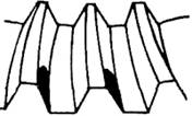 tab-11