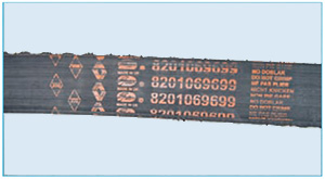 zamena_remnja_grm_23.jpg
