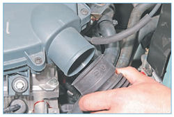 Stepway 117-7.jpg