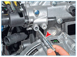 Stepway 175-4.jpg